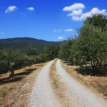 Casa Ripa - Hosting In Cortona